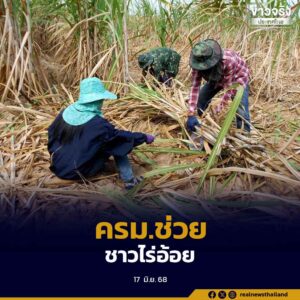 คณะรัฐมนตรี ออกมาตรช่วยเหลือเกษตรกรชาวไร่อ้อย เก็บเกี่ยวอ้อยสดคุณภาพดี ลดฝุ่น PM2.5