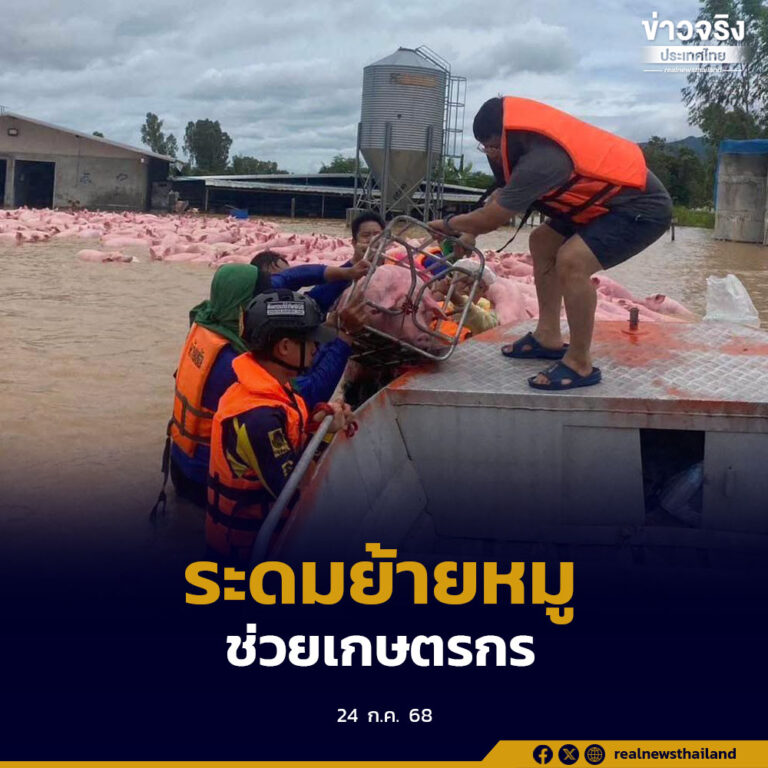 ระดมกำลังช่วยเหลือเกษตรกร ย้ายหมูกว่า 1,100 ตัว หลังน้ำท่วมพื้นที่บ้านห้วยไคร้ อำเภอเทิง จังหวัดเชียงราย