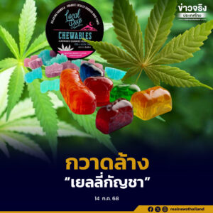 รัฐบาลเดินหน้ากวาดล้าง “เยลลี่กัญชา”ผิดกฎหมาย กัญชาใช้ได้เฉพาะทางการแพทย์เท่านั้น