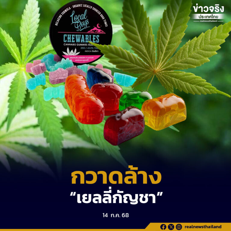 รัฐบาลเดินหน้ากวาดล้าง “เยลลี่กัญชา”ผิดกฎหมาย กัญชาใช้ได้เฉพาะทางการแพทย์เท่านั้น