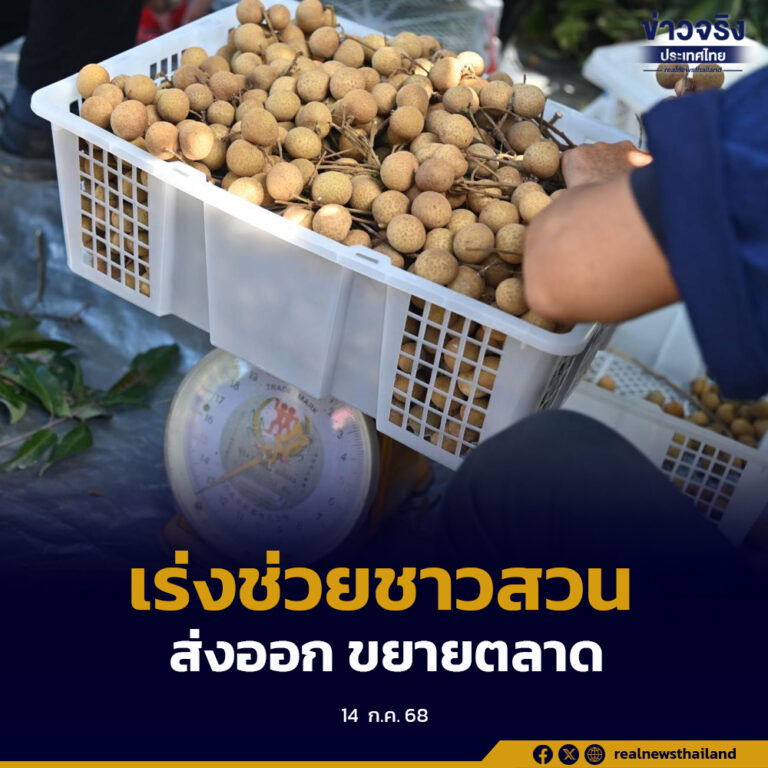 เร่งช่วยชาวสวนลำไย เพิ่มเป้าส่งออกและขยายตลาดอินเดีย ยูเออี