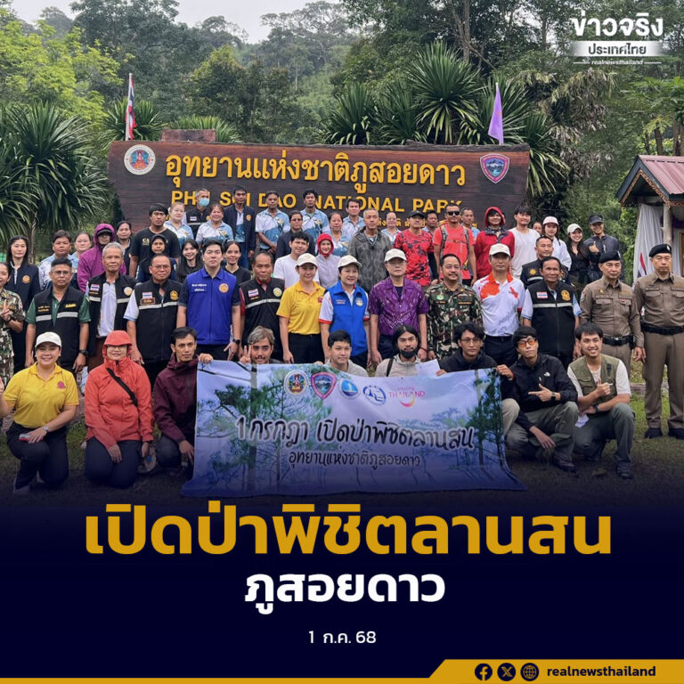 เปิดป่าพิชิตลานสน อุทยานแห่งชาติภูสอยดาว สัมผัสป่าธรรมชาติที่สวยงาม แหล่งต้นน้ำลำธาร