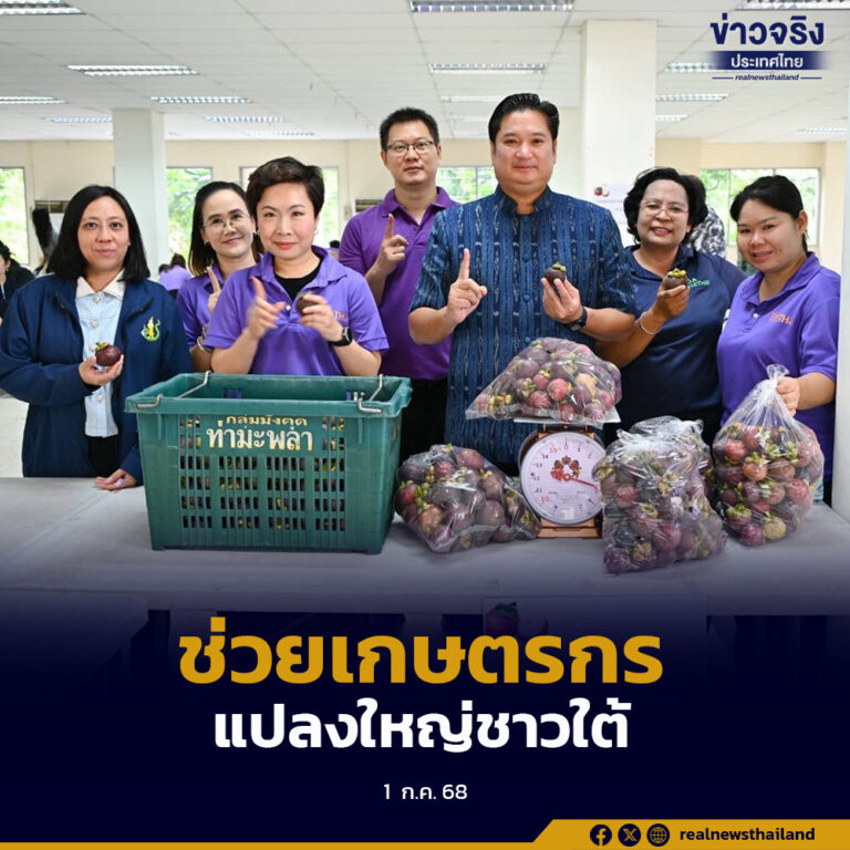 กรมวิชาการเกษตร ช่วยเหลือเกษตรกรชาวใต้ รับซื้อมังคุดแปลงใหญ่ 9 ตัน