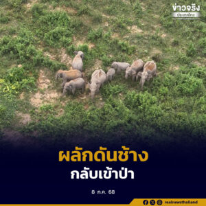เร่งผลักดันช้างให้กลับเข้าป่าโดยเร็ว สร้างสมดุลระหว่างการอนุรักษ์ช้างป่ากับการดำเนินชีวิตของชุมชน