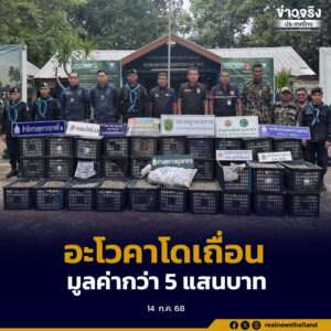 ตรวจยึดอะโวคาโดลักลอบนำเข้ากว่า 6 ตันในพื้นที่มุกดาหาร มูลค่าเกือบ 5 แสนบาท