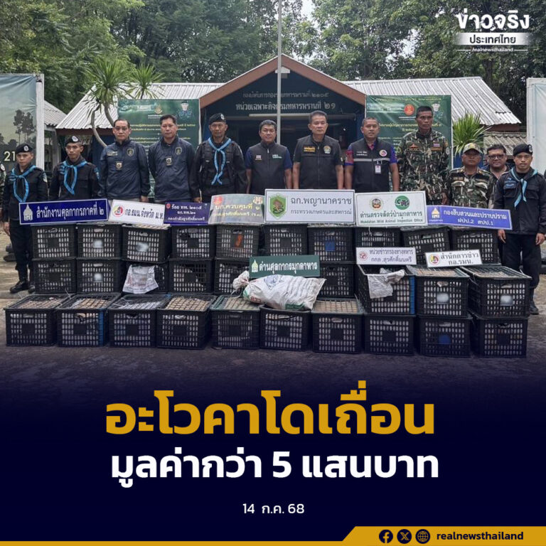 ตรวจยึดอะโวคาโดลักลอบนำเข้ากว่า 6 ตันในพื้นที่มุกดาหาร มูลค่าเกือบ 5 แสนบาท