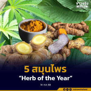 สมุนไพรไทยต่อยอดเศรษฐกิจ ชู 5 สมุนไพร“Herb of the Year” สร้างมูลค่ากว่า 3,526 ล้านบาท