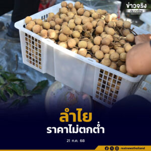 กระทรวงพาณิชย์ เดินหน้ามาตรการคู่ขนาน ดันราคาลำไย ดูดซับผลผลิต ช่วยเกษตรกร