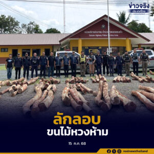ตร.ทางหลวงปราจีนฯ-สระแก้ว สกัดจับไม้พะยูง 102 ท่อน กลางดึก