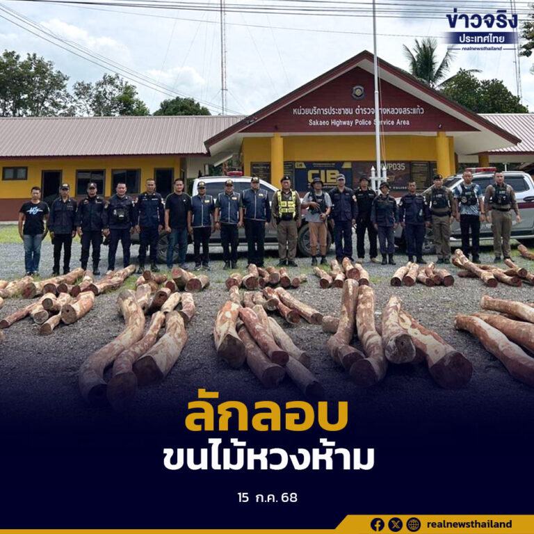 ตร.ทางหลวงปราจีนฯ-สระแก้ว สกัดจับไม้พะยูง 102 ท่อน กลางดึก