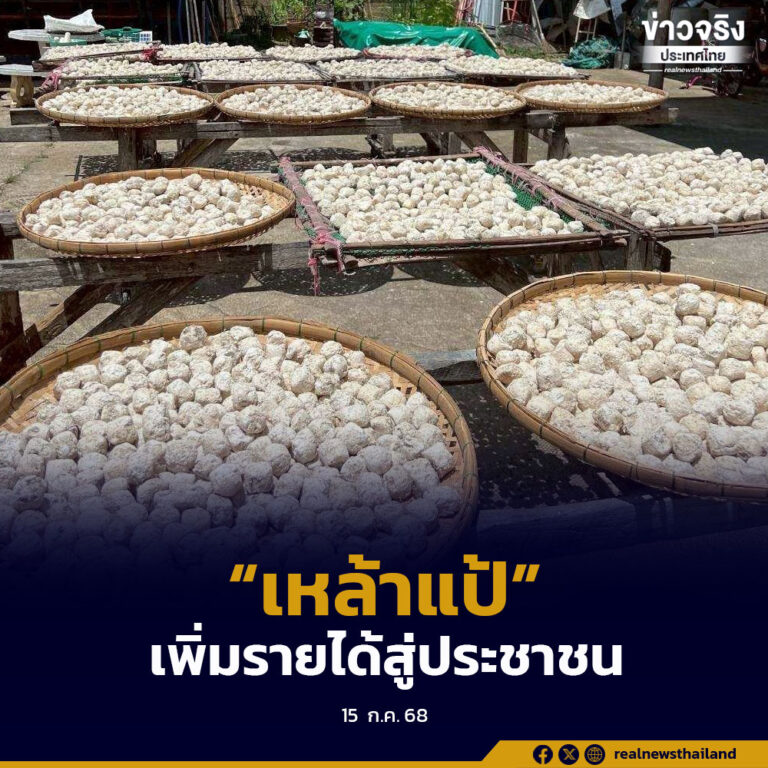 “เหล้าแป้” สุราท้องถิ่นจากเมืองแพร่ สร้างรายได้ให้ประชาชนในพื้นที่กว่า 3,600 ล้านบาทต่อปี