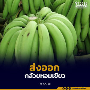 ผู้ประกอบการไทยและผู้ซื้อจากญี่ปุ่นร่วมทำสัญญา ส่งออกกล้วยหอมเขียว 5,000 ตัน