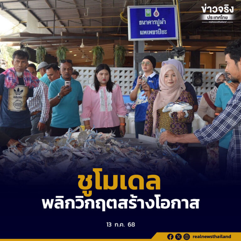 “แพปูม้าเพชรปิยะ” นครศรีฯ ชูโมเดลพลิกวิกฤตสร้างโอกาสทางธุรกิจ
