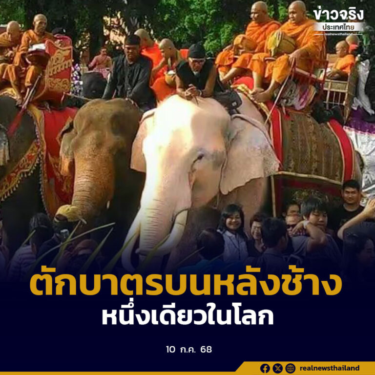 ช้าง 68 เชือก พร้อมนักท่องเที่ยว ร่วมขบวนมหกรรมแห่เทียนพรรษา ตักบาตรบนหลังช้าง หนึ่งเดียวในโลก