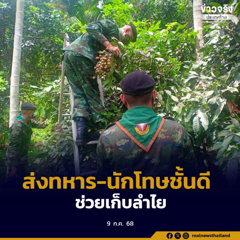เดินหน้าช่วยเหลือเกษตรกรภาคตะวันออกและภาคเหนือ ช่วยลดต้นทุนเก็บเกี่ยว พร้อมเร่งกระจายผลผลิตผ่านภาคเอกชน-ร้านค้าทั่วประเทศ