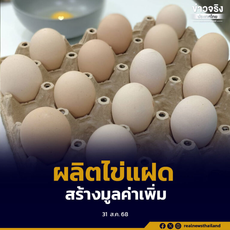 ปศุสัตว์เพชรบุรี ส่งเสริมเกษตรกรผลิตไข่แฝด สร้างมูลค่าเพิ่ม ตามนโยบายการผลิตสินค้าปศุสัตว์มูลค่าสูง