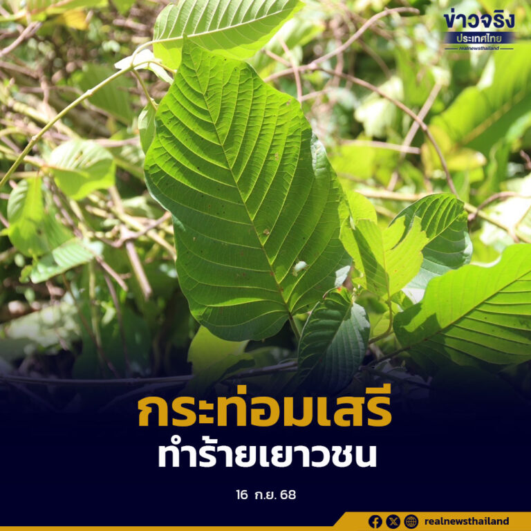 “กระท่อมเสรี”ภัยเงียบทำร้ายเยาวชน แก้ปัญหาต้องเน้นการมีส่วนร่วม ของคนในชุมชน