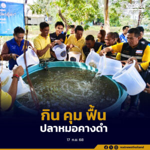 ฉะเชิงเทราใช้โมเดล “กิน คุม ฟื้น” สู้ปลาหมอคางดำ ร่วมกับซีพีเอฟ เดินหน้าปล่อยปลานักล่า 10,000 ตัว