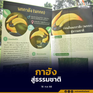 อุทยานแห่งชาติแจ้ซ้อน ลำปาง ปล่อยนกกาฮังคืนสู่ธรรมชาติเพื่อการอนุรักษ์