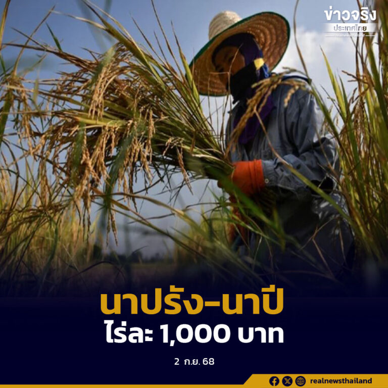 ธ.ก.ส. เดินหน้าช่วยเหลือเกษตรกรผู้ปลูกข้าวนาปรัง-นาปี ไร่ละ 1,000 บาท