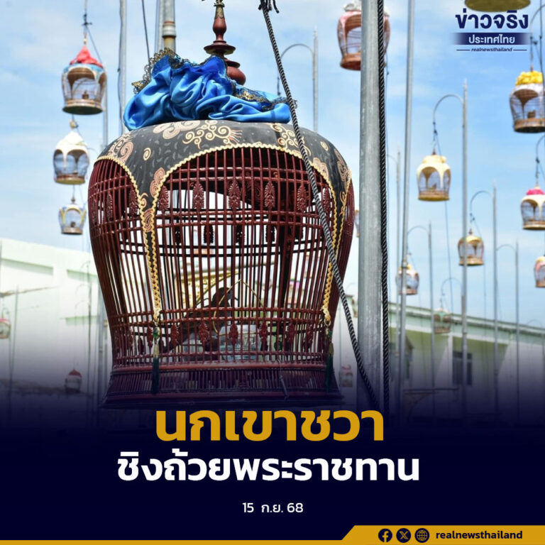 นราธิวาส ประชันเสียงนกเขาชวา ชิงถ้วยพระราชทาน สมเด็จพระกนิษฐาธิราชเจ้า กรมสมเด็จพระเทพรัตนราชสุดาฯ สยามบรมราชกุมารี