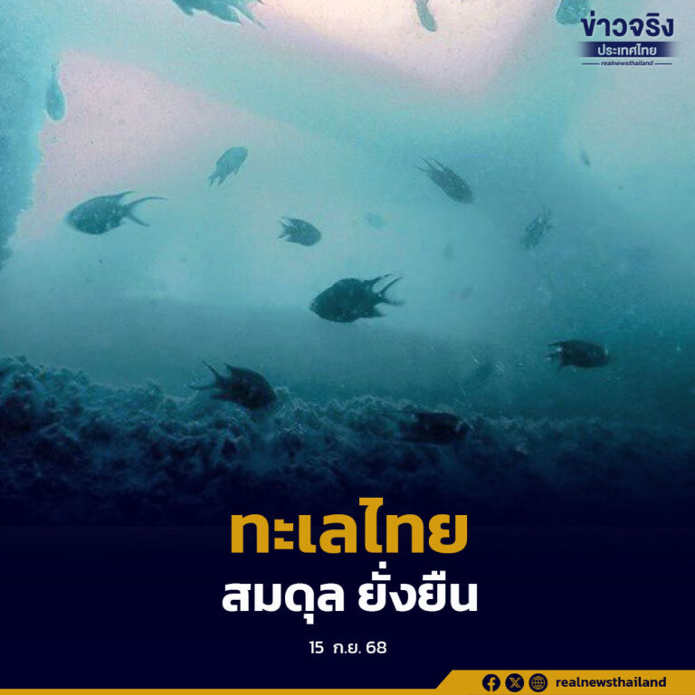 ผลสำเร็จจัดสร้างแหล่งอาศัยสัตว์ทะเล คืนความสมบูรณ์สู่ระบบนิเวศ ฟื้นฟูทะเลไทย