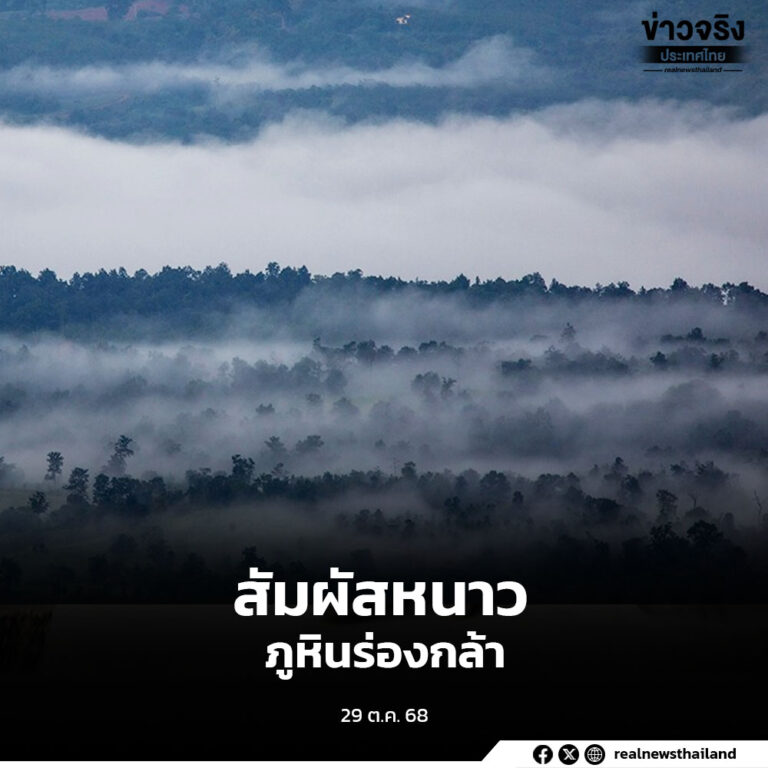 ท่องเที่ยวช่วงปลายฝนต้นหนาว สัมผัสธรรมชาติผืนป่าและสายหมอก ภูหินร่องกล้า