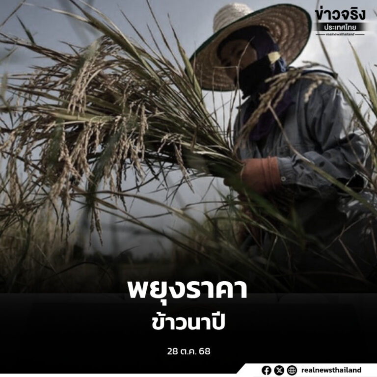 พยุงราคาข้าวนาปี เร่งชดเชยดอกเบี้ยจูงใจโรงสีรับซื้อข้าวตั้งแต่ต้นฤดูกาล