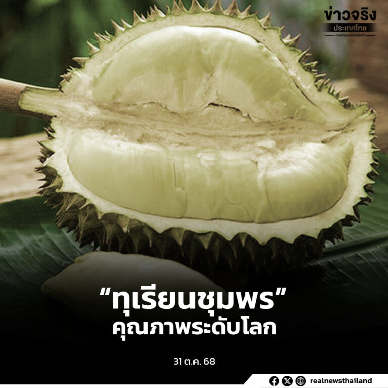 ประกาศขึ้นทะเบียน “ทุเรียนชุมพร” เป็นสิ่งบ่งชี้ทางภูมิศาสตร์ (GI) รายการใหม่ ตอกย้ำเอกลักษณ์ผลไม้เศรษฐกิจภาคใต้ รสชาติหวานมัน กลิ่นหอมไม่ฉุน