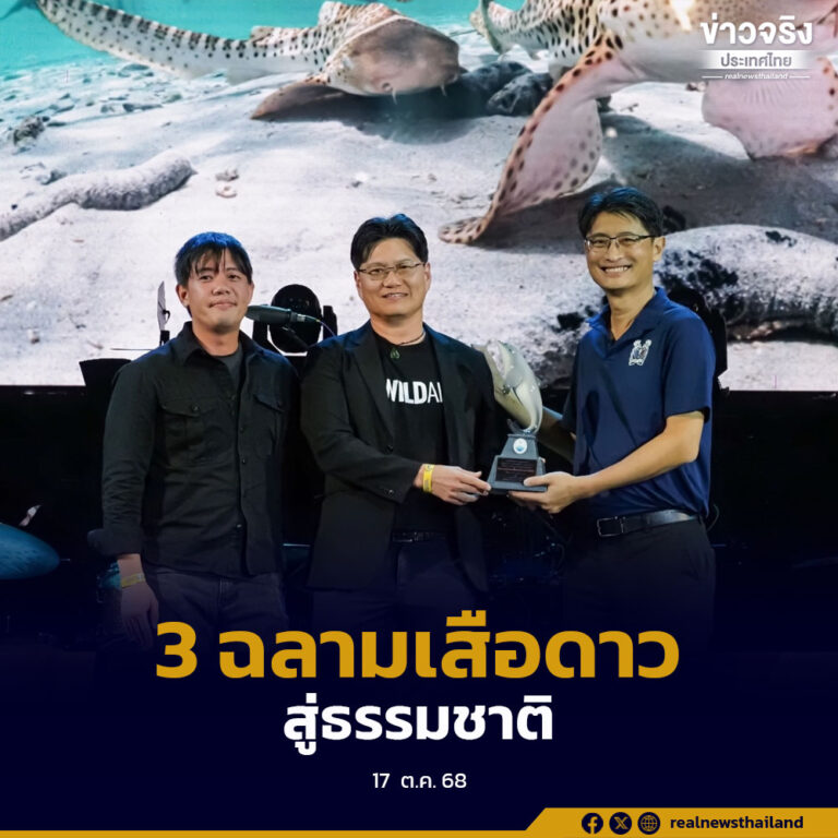 ครั้งแรกในไทย ปล่อยฉลามเสือดาว 3 ตัวคืนสู่ธรรมชาติ พร้อมเครื่องส่งสัญญาณเสียงติดตาม