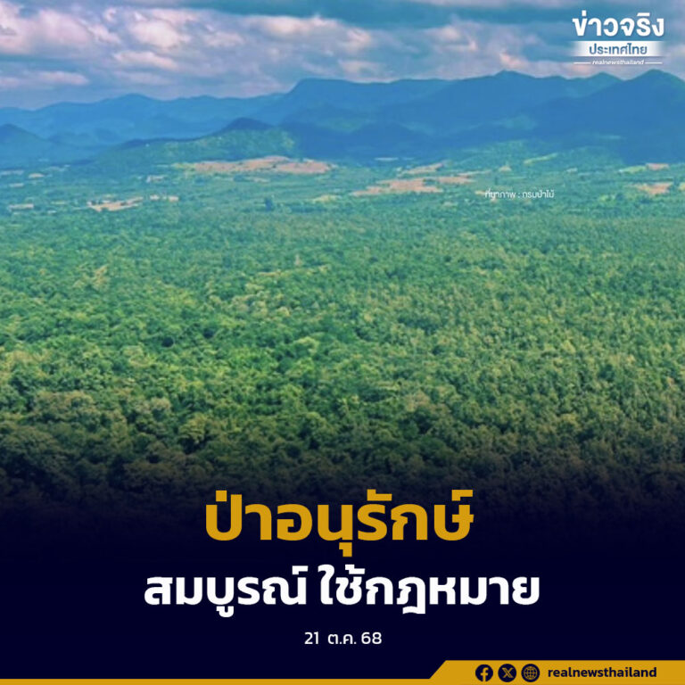 เร่งปกป้องรักษาความสมบูรณ์ของพื้นที่ป่าอนุรักษ์ ใช้กฎหมายกับผู้บุกรุก