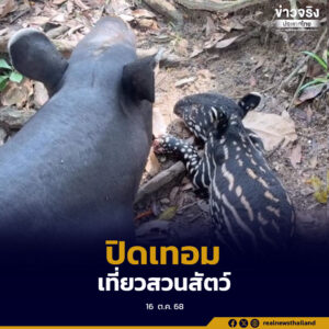 ปิดเทอม สวนสัตว์เปิดเขาเขียว เผยโฉม “ลูกสมเสร็จตัวล่าสุด”เด็กเที่ยวฟรี 23 ตุลาคมนี้