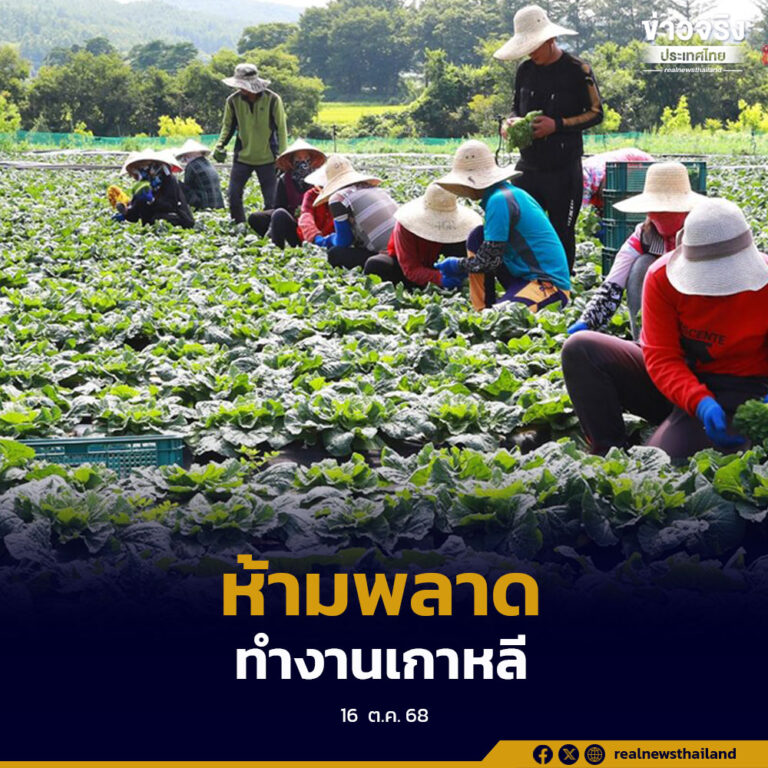 คนเคยทำงานเกาหลี ห้ามพลาด กรมการจัดหางาน เปิดรับสมัครทดสอบภาษาเกาหลีกรณีพิเศษ