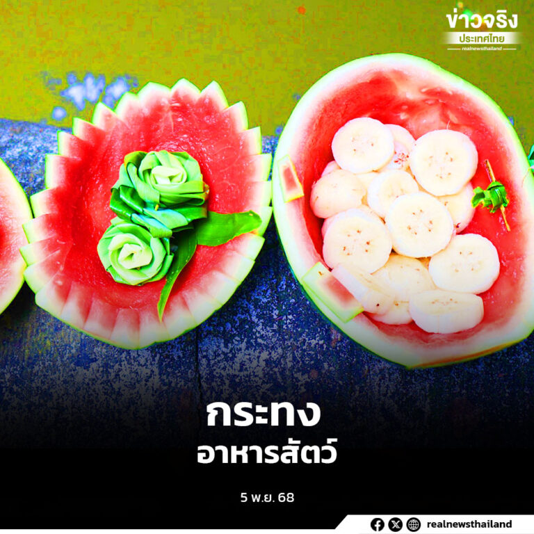 สวนสัตว์ขอนแก่น สืบสานประเพณีลอยกระทงด้วยกิจกรรม “ทำกระทงอาหารสัตว์” จากวัสดุธรรมชาติ ส่งเสริมพฤติกรรมสัตว์ตามหลักสวัสดิภาพ สร้างความสุขให้ทั้งสัตว์และนักท่องเที่ยว