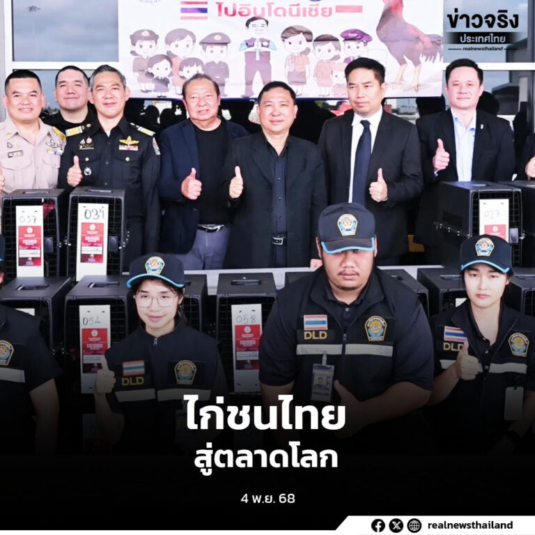 ประเทศไทยส่งออกไก่ชนสายพันธุ์ไทย “Ayam Bangkok” ไปยังประเทศอินโดนีเซีย มูลค่ากว่า 50 ล้านบาทใน 4 เดือน สะท้อนศักยภาพอุตสาหกรรมปศุสัตว์ไทย