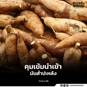 คุมเข้ม 4 ด่านนำเข้ามันสำปะหลัง แก้ปัญหาการนำเข้ามันสำปะหลังคุณภาพต่ำ