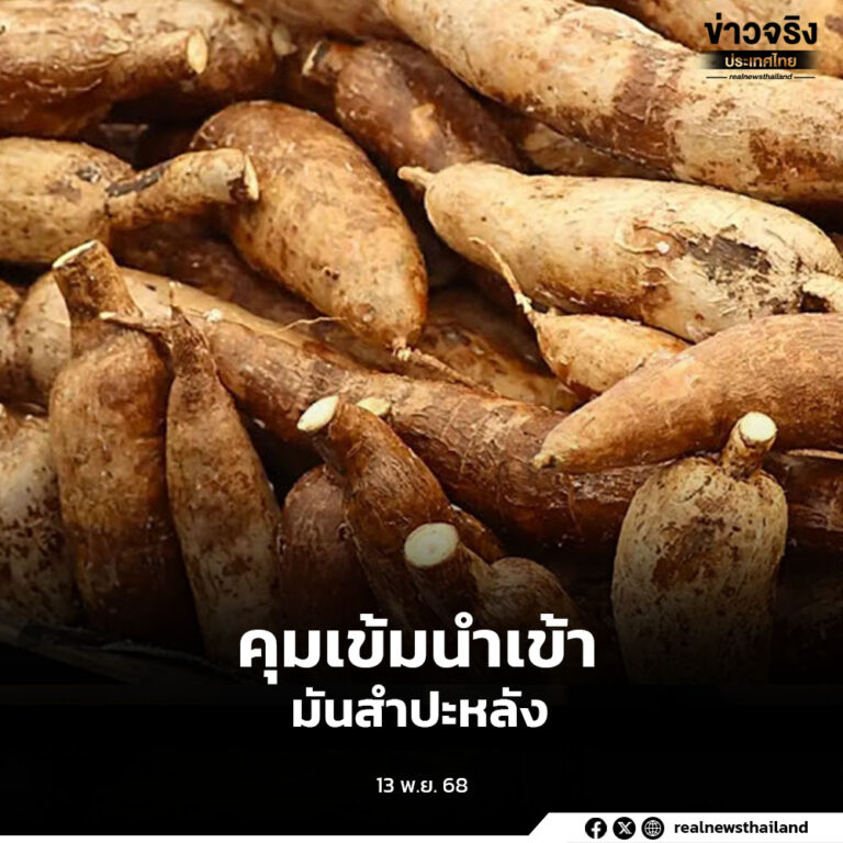 คุมเข้ม 4 ด่านนำเข้ามันสำปะหลัง แก้ปัญหาการนำเข้ามันสำปะหลังคุณภาพต่ำ