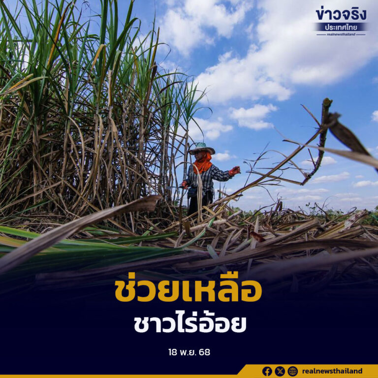 ครม.เห็นชอบขยายมาตรการช่วยเหลือเกษตรกรชาวไร่อ้อยที่เกี่ยวอ้อยสดคุณภาพดี ลดฝุ่น PM2.5