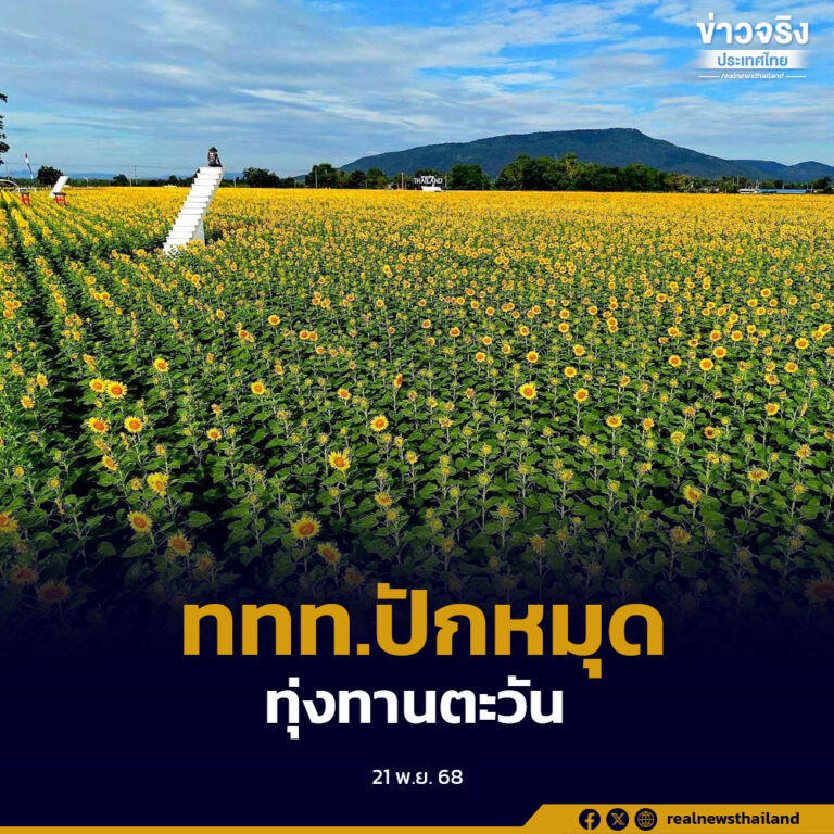  Amazing Thailand ททท.ปักหมุด ทุ่งทานตะวันแปลงใหญ่ กว่า 75 ไร่ กระตุ้นการท่องเที่ยวไทย