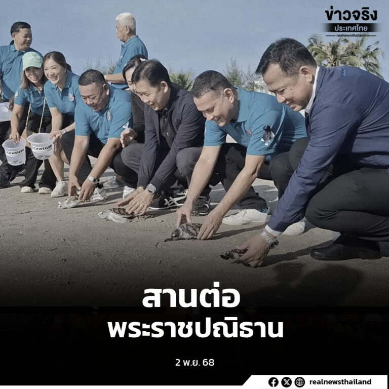 จังหวัดเพชรบุรี จัดกิจกรรมปล่อยเต่าทะเลและสัตว์น้ำคืนสู่ธรรมชาติ พร้อมฟอกทรายชายหาด เนื่องใน “งานวันกุ้งเพชรบุรี” ครั้งที่ 4 สานต่อพระราชปณิธาน พระพันปีหลวง ในการอนุรักษ์ทรัพยากรทางทะเลอย่างยั่งยืน