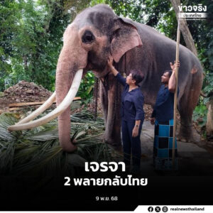 เจรจาพา 2 พลายกลับบ้านคืบหน้าด้วยดี ขอคนไทยใจเย็น เพื่อรักษาบรรยากาศการเจรจา