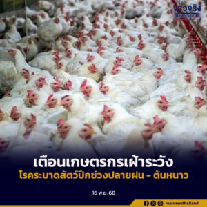 เตือนเกษตรกรเฝ้าระวังโรคระบาดสัตว์ปีกช่วงปลายฝน – ต้นหนาว