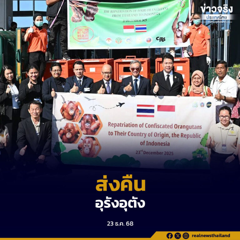 ไทย–อินโดนีเซีย ฉลอง 75 ปี ความสัมพันธ์ทางการทูต ส่งคืนอุรังอุตัง 4 ตัว กลับถิ่นกำเนิด ตอกย้ำความร่วมมือคุ้มครองสัตว์ป่าภายใต้อนุสัญญาไซเตส