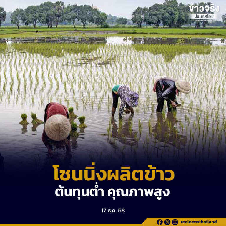 กำหนดแนวทางจัดโซนนิ่ง ปรับโครงสร้างการผลิตข้าว ต้นทุนต่ำ คุณภาพสูง เป็นมิตรต่อสิ่งแวดล้อม