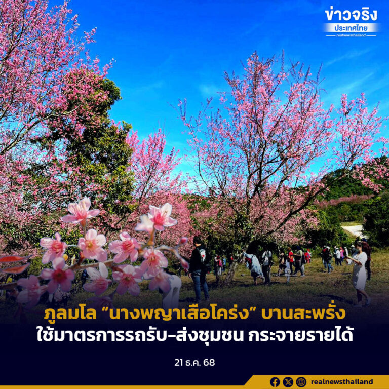 ภูลมโล “นางพญาเสือโคร่ง” บานสะพรั่งใช้มาตรการรถรับ-ส่งชุมชน กระจายรายได้