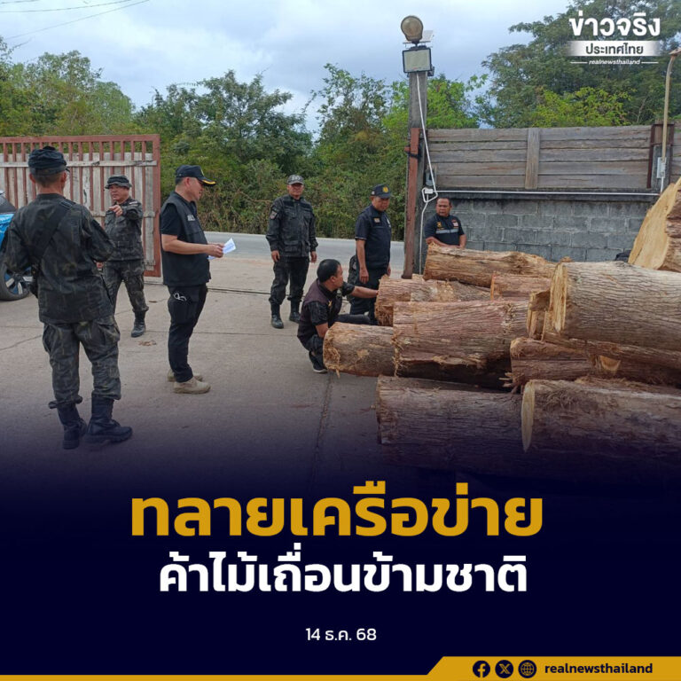 กรมอุทยานฯ ผนึกกำลัง DSI ทลายเครือข่ายค้าไม้เถื่อนข้ามชาติกลางเมืองหนองคาย ยึดไม้ของกลางจำนวนมาก