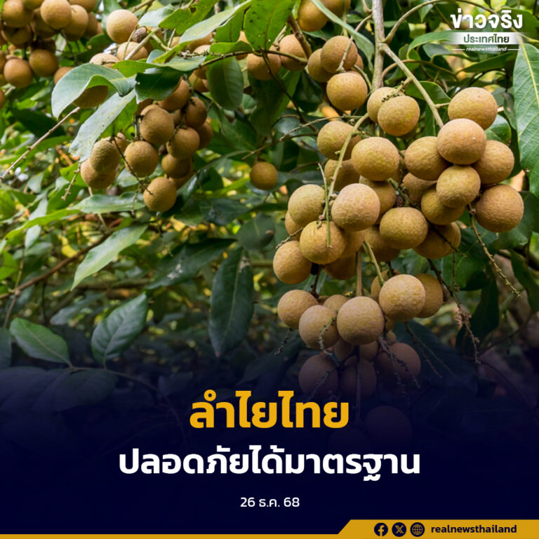 กรมวิชาการเกษตรลงพื้นที่จังหวัดจันทบุรี คุมเข้มลำไยส่งออก หลังถูกตีกลับจากจีน ย้ำมาตรฐานซัลเฟอร์ไดออกไซด์ต้องเป็นไปตามเกณฑ์