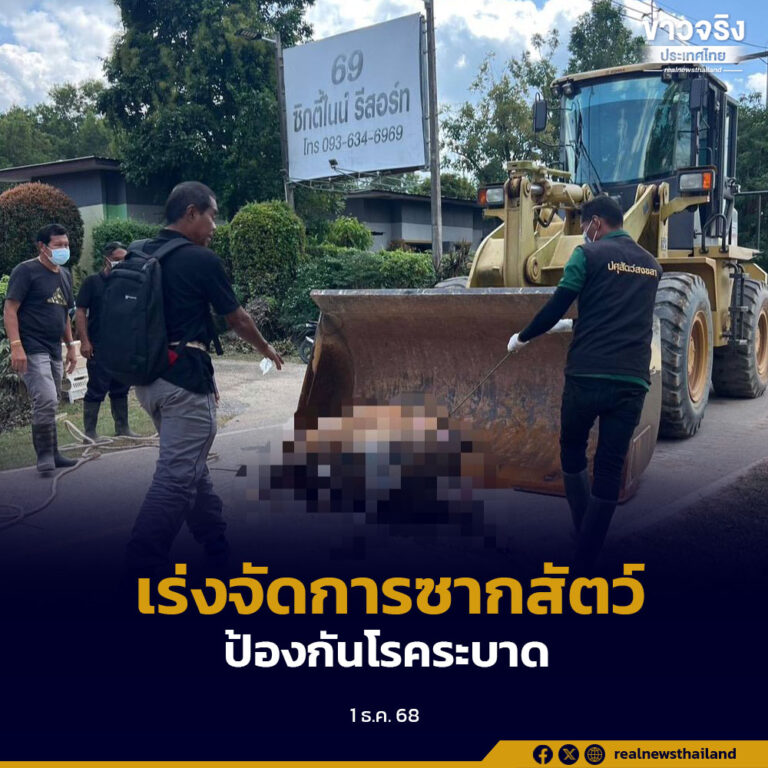 กรมปศุสัตว์ เดินหน้าช่วยเหลือเกษตรกรผู้เลี้ยงสัตว์ภาคใต้ต่อเนื่อง เร่งจัดการซากสัตว์ ป้องกันโรคระบาด