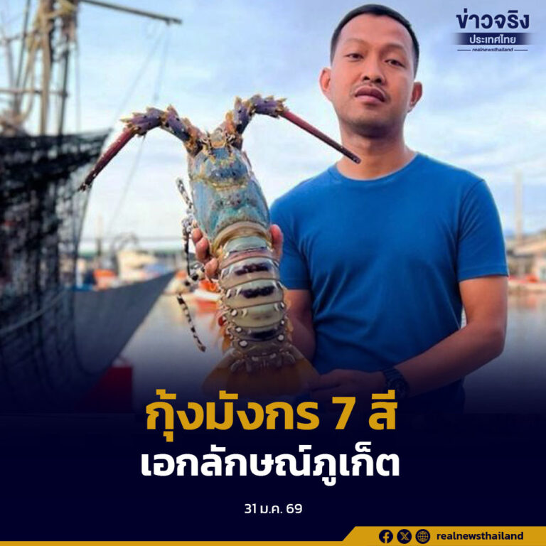 กรมทรัพย์สินทางปัญญาประกาศขึ้นทะเบียน “กุ้งมังกร 7 สีภูเก็ต” เป็นสินค้า GI การันตีคุณภาพระดับพรีเมียม