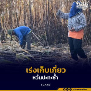 ชาวบ้านชายแดนสุรินทร์เร่งเก็บเกี่ยวอ้อย ยางพารา และข้าว หลังยังหวั่นสถานการณ์ตึงเครียดอาจปะทุซ้ำ